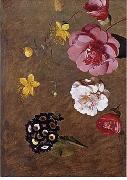 unknow artist Floral, beautiful classical still life of flowers.032 oil painting reproduction
